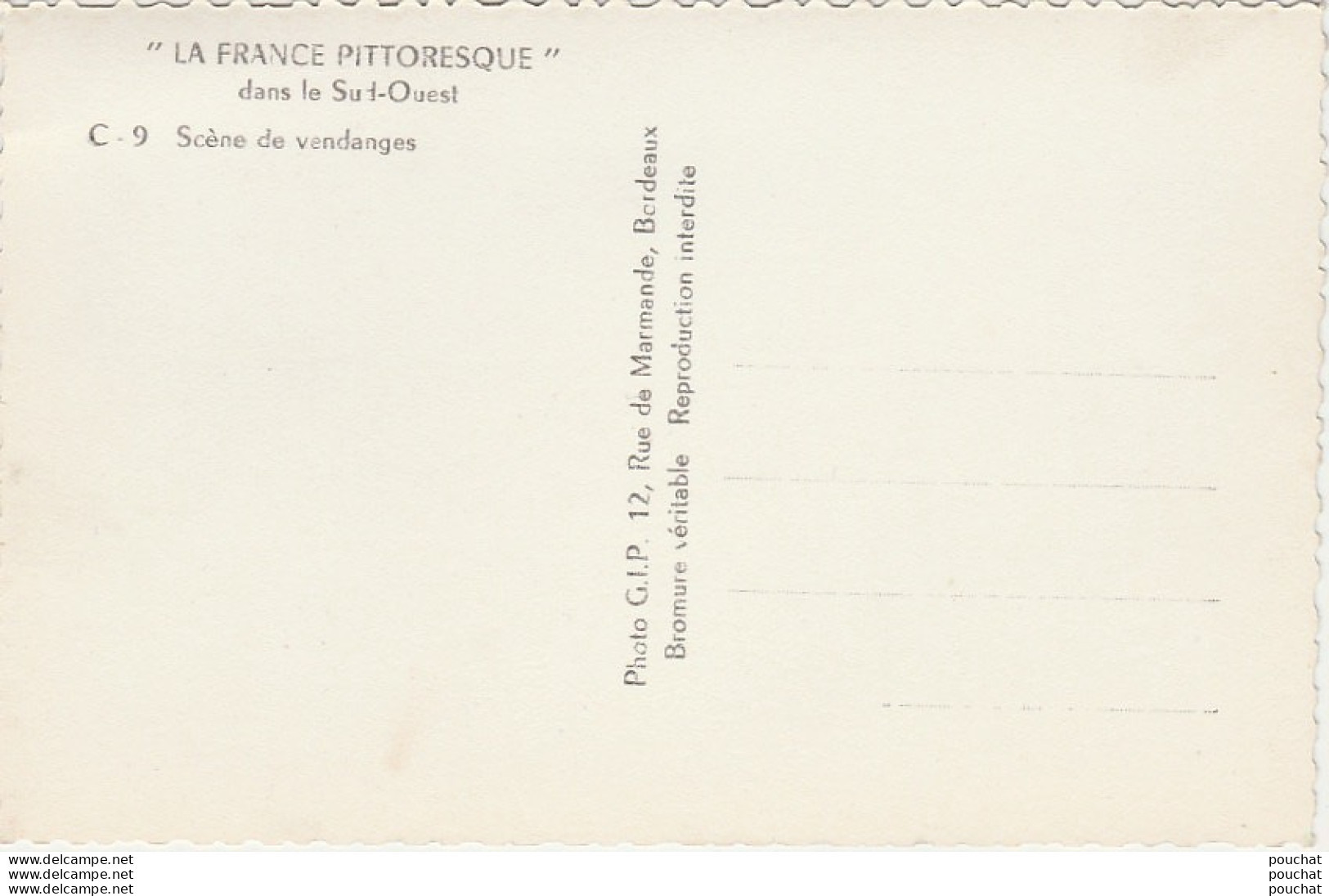 F12- LA FRANCE PITTORESQUE DANS LE SUD OUEST -  SCENE DE VENDANGES  - EDITEUR G.I.P.  BORDEAUX - 2 SCANS) - Aquitaine