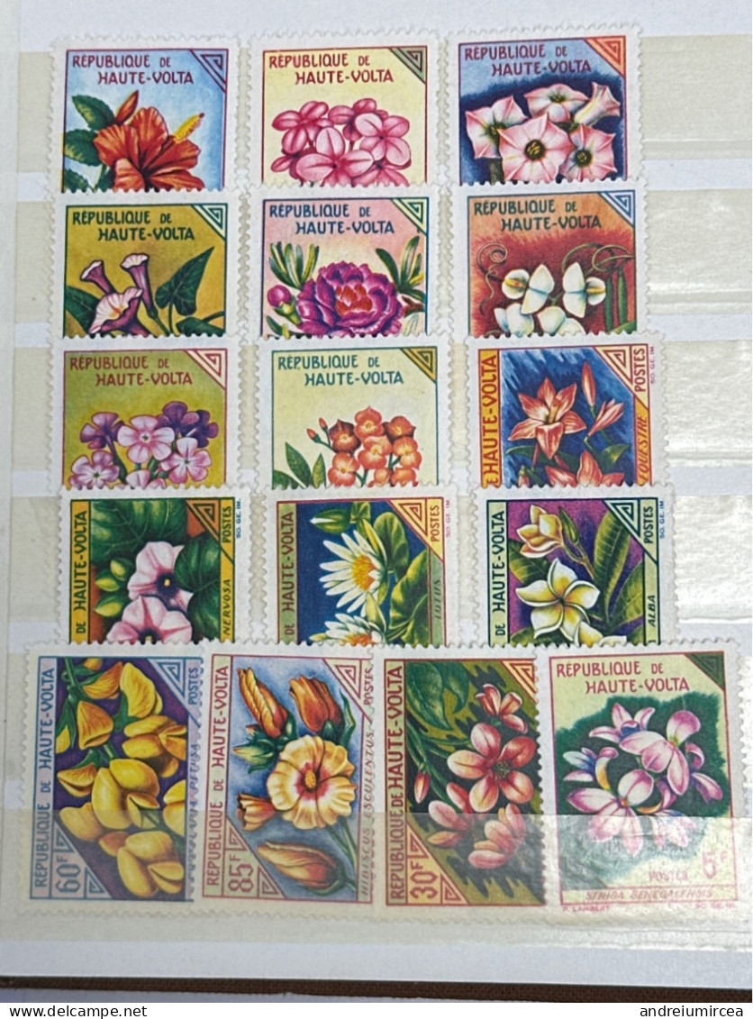 1963  Haute Volta MNH Fleurs Flowers - Upper Volta (1958-1984)