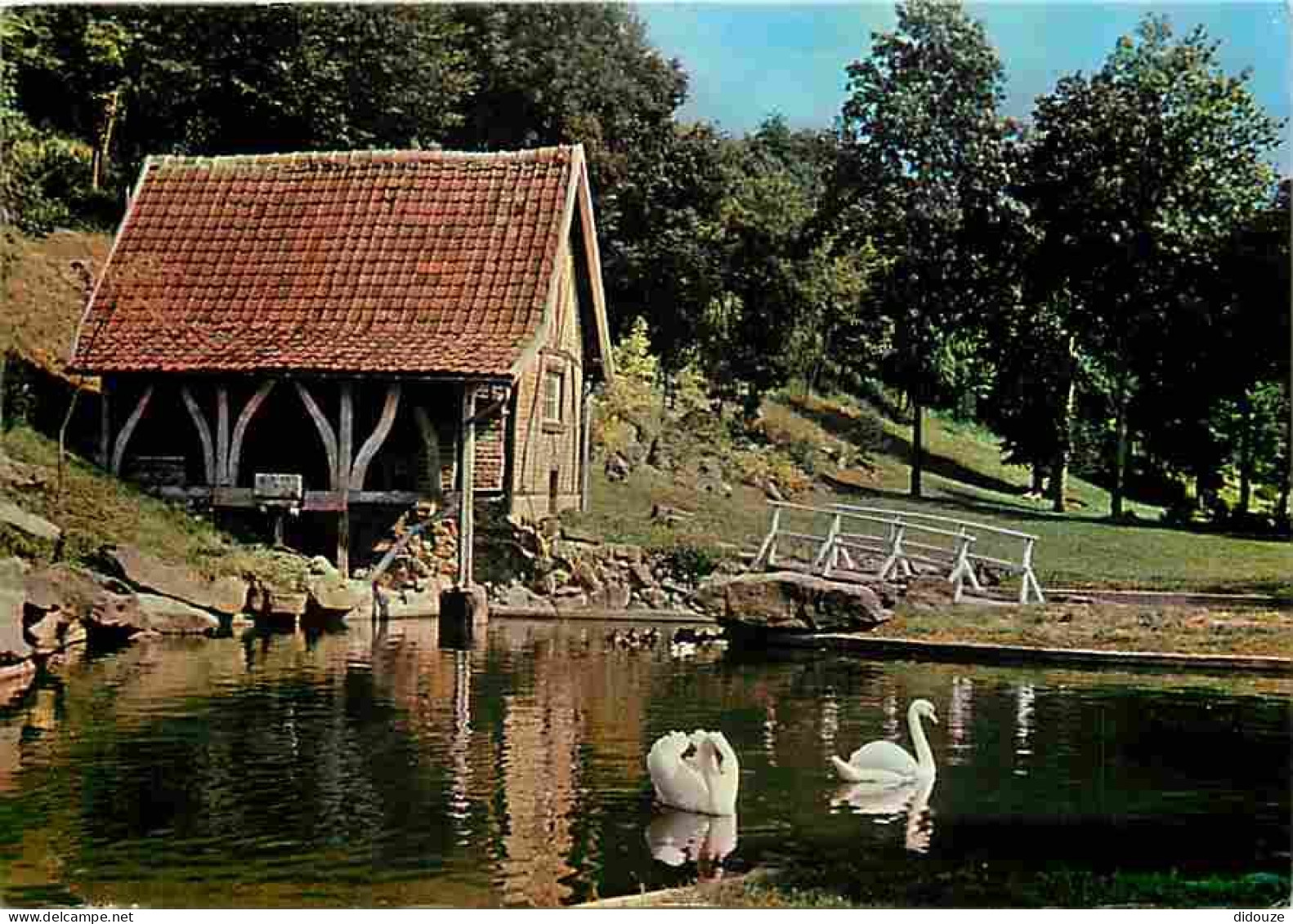 80 - Les Grottes De Naours - Les Cygnes Près Du Moulin - CPM - Voir Scans Recto-Verso - Naours