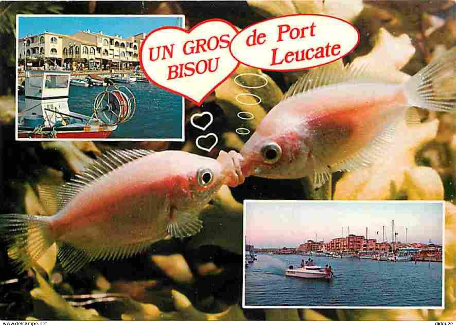 11 - Leucate - Port Leucate - Multivues - Poissons Rouges - Bateaux - CPM - Voir Scans Recto-Verso - Leucate
