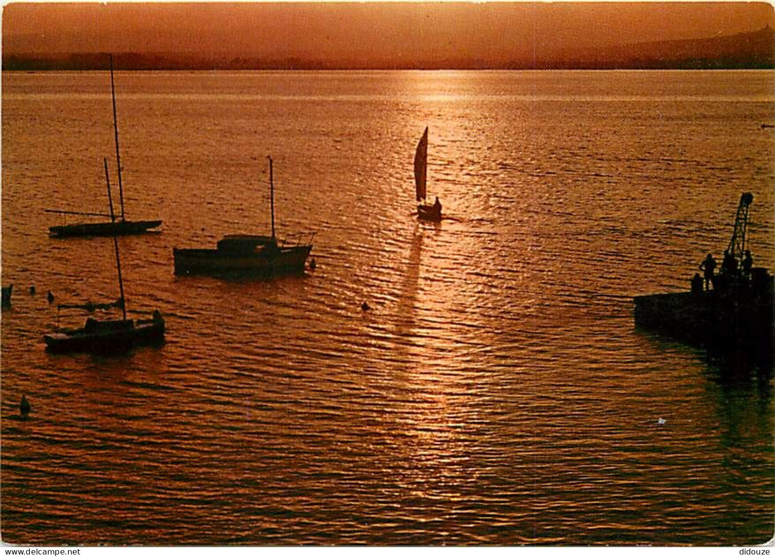 Coucher De Soleil - CPM - Voir Scans Recto-Verso - Controluce