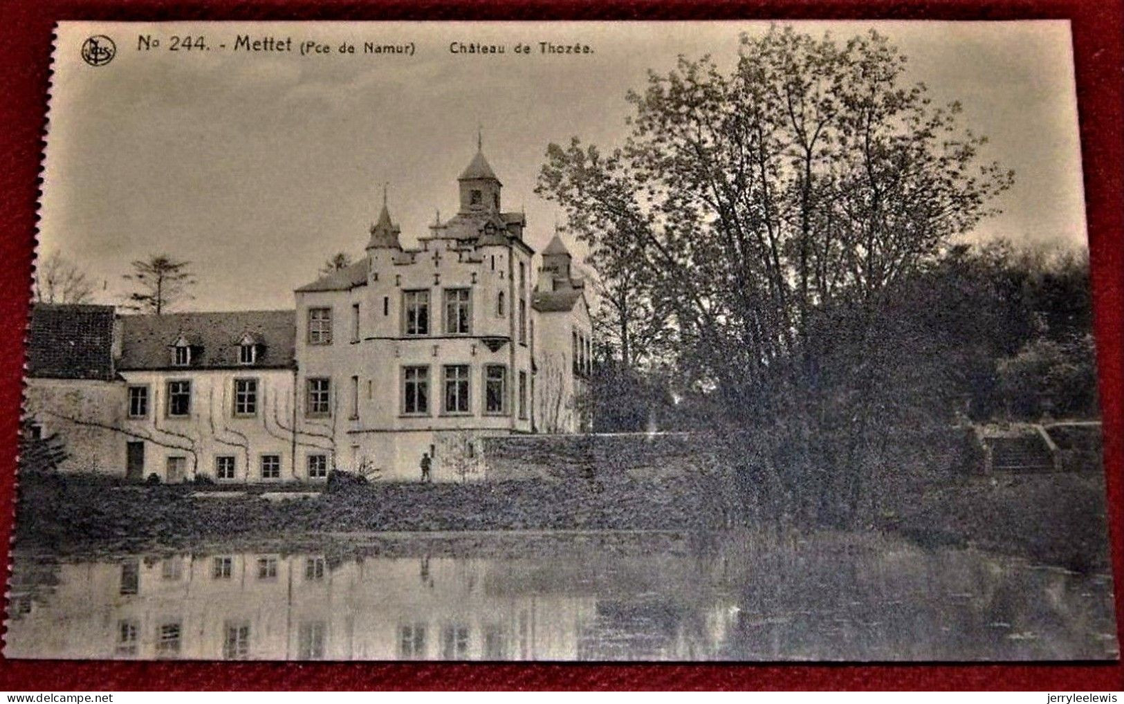 BEAURAING  -  Les Ruines  Du Château  -   1907   - - Beauraing