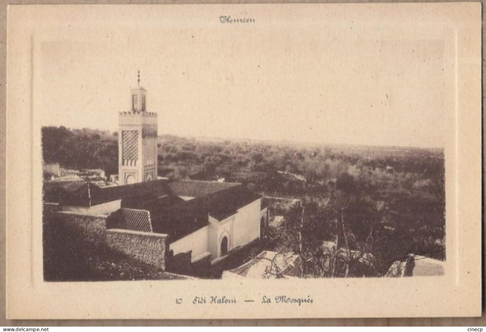 CPA ALGERIE - TLEMCEN - SIDI HALOUI - La Mosquée - TB PLAN EDIFICE RELIGIEUX + Vue Vallée - Tlemcen