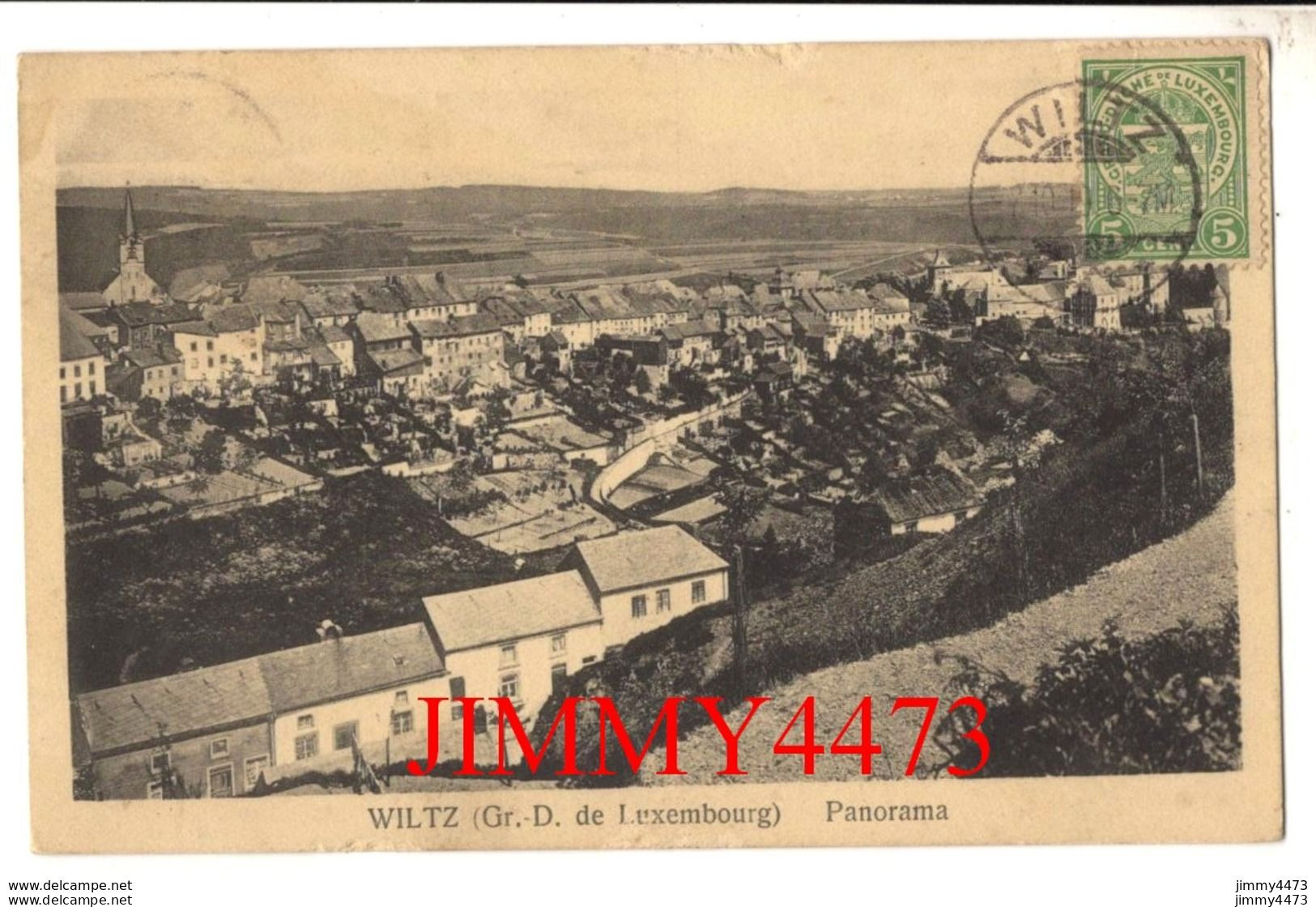 CPA - WILTZ En 1919 ( Wolz Grand Duché De Luxembourg ) Panorama - N°8 - Ed. Capus & Fiedier Lux. Gare - Wiltz