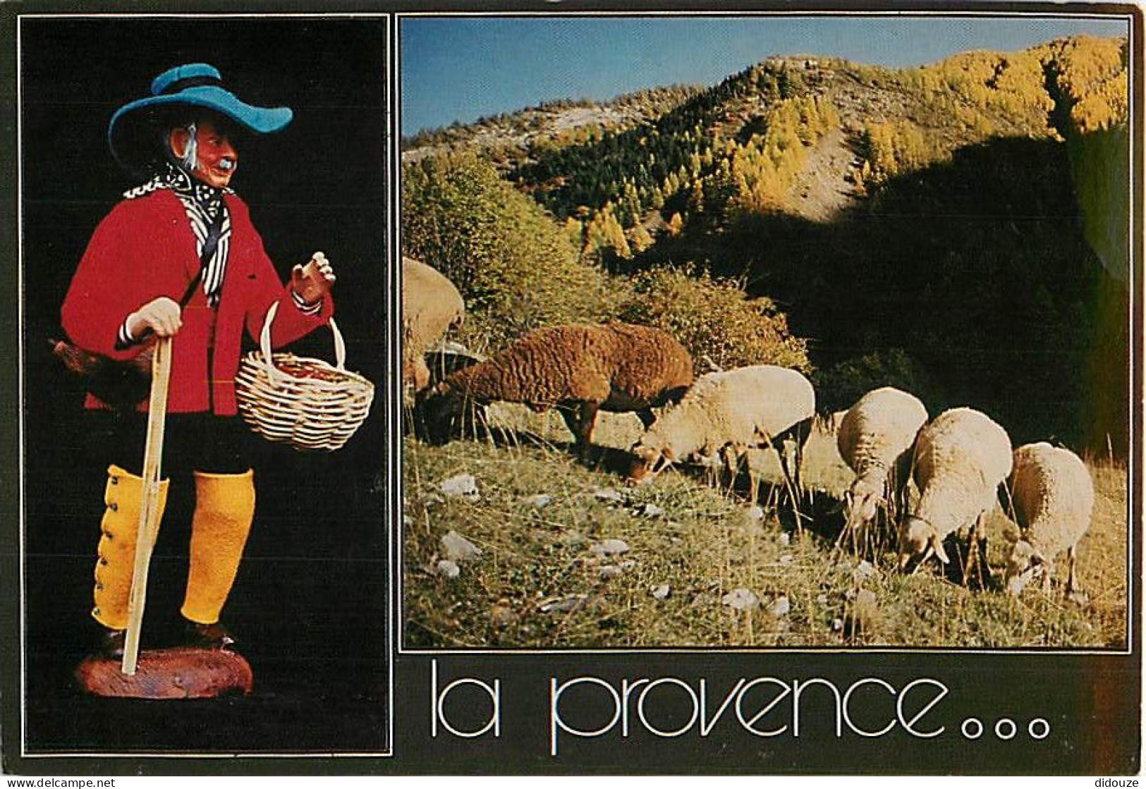 Régions - Provence - CPM - Voir Scans Recto-Verso - Provence-Alpes-Côte D'Azur