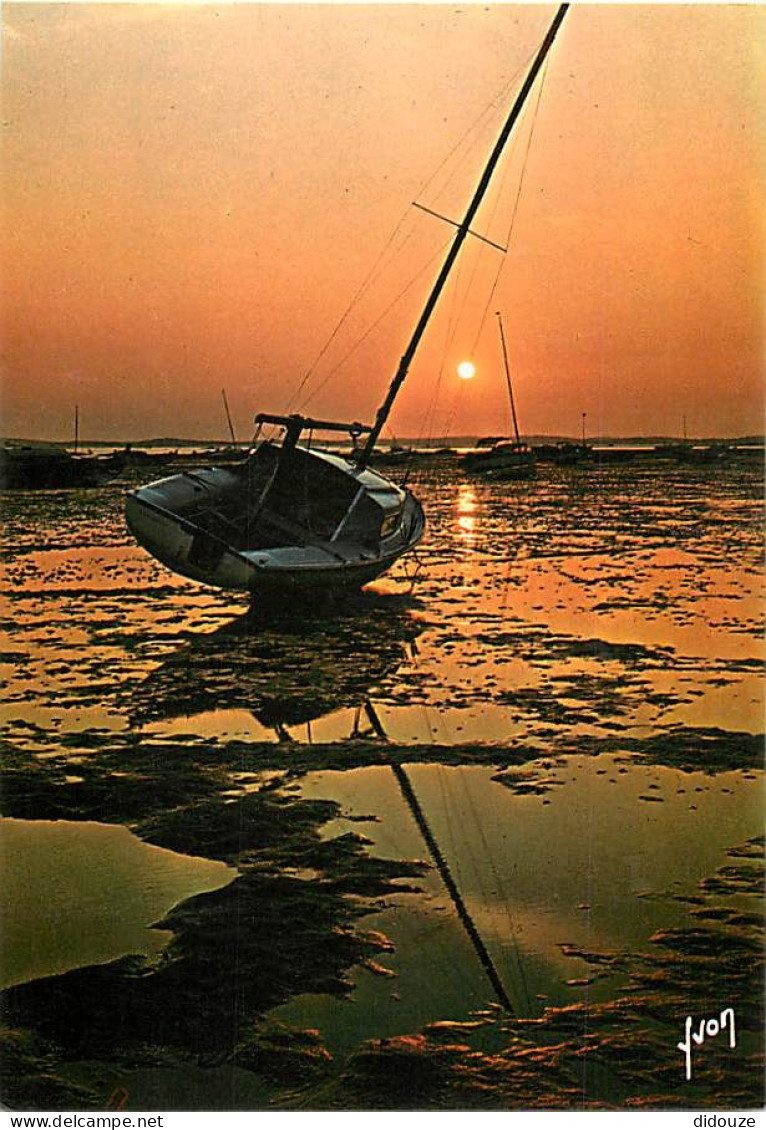 Coucher De Soleil - CPSM Format CPA - Voir Scans Recto-Verso - Hold To Light