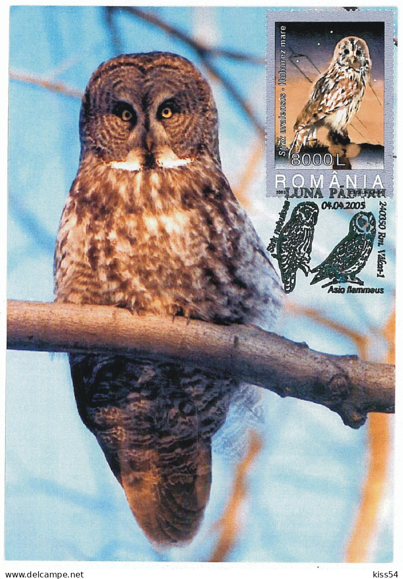 MAX 48 - 97 OWL, Bird, Romania - Maximum Card - 2005 - Eulenvögel