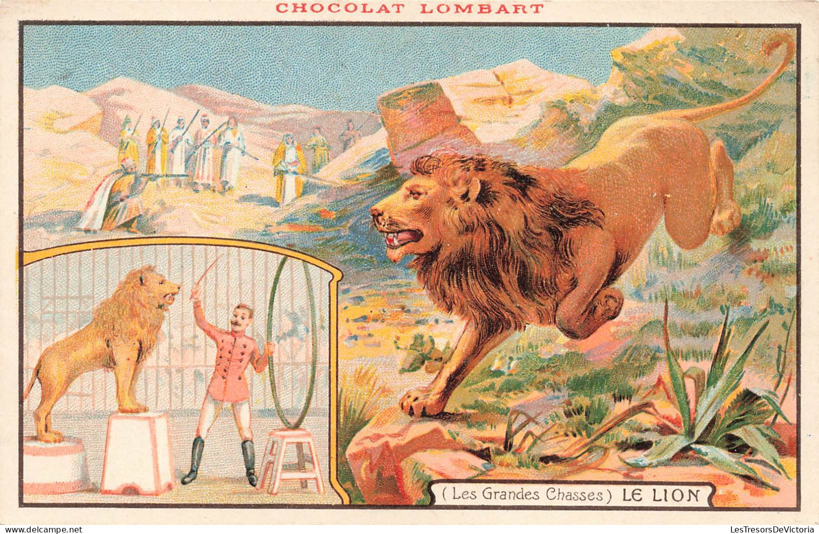 ANIMAUX & FAUNE - Lion - Les Grandes Chasses - Dessin - Colorisé - Carte Postale Ancienne - Leoni