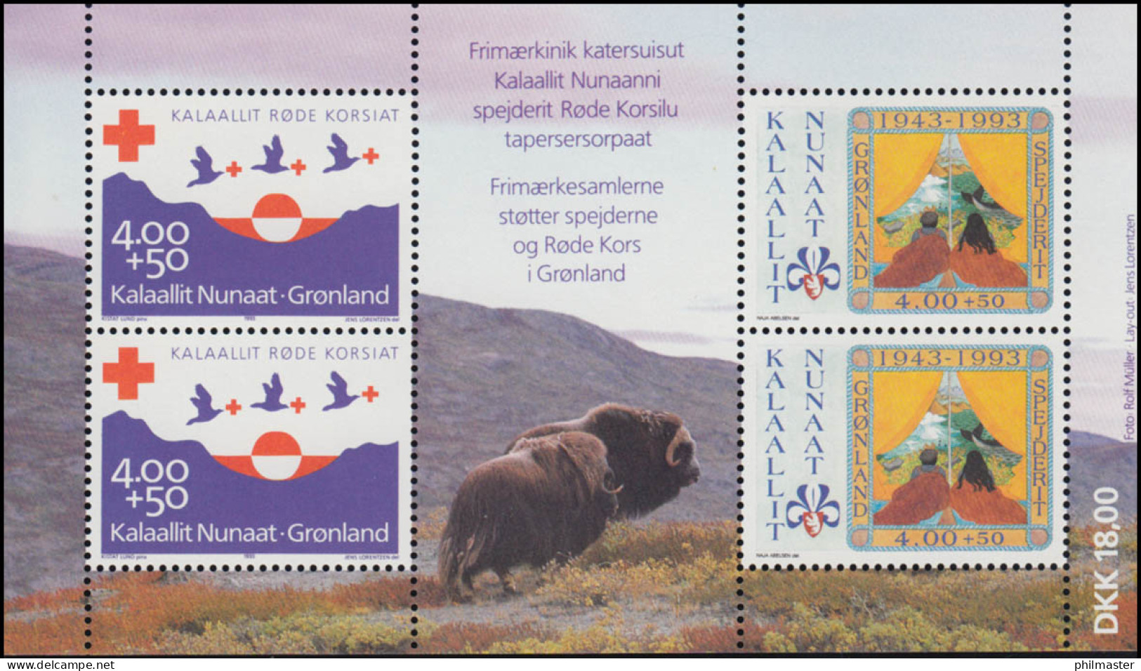 Grönland Block 4 Rotes Kreuz Und Pfadfinderbewegung 1993 ** / MNH - Sonstige & Ohne Zuordnung