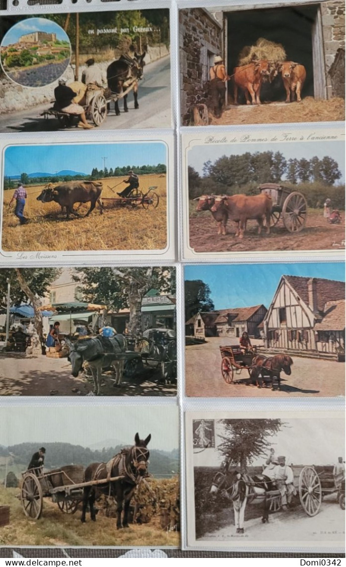 CPSM Thème : Attelage - 100 - 499 Postkaarten