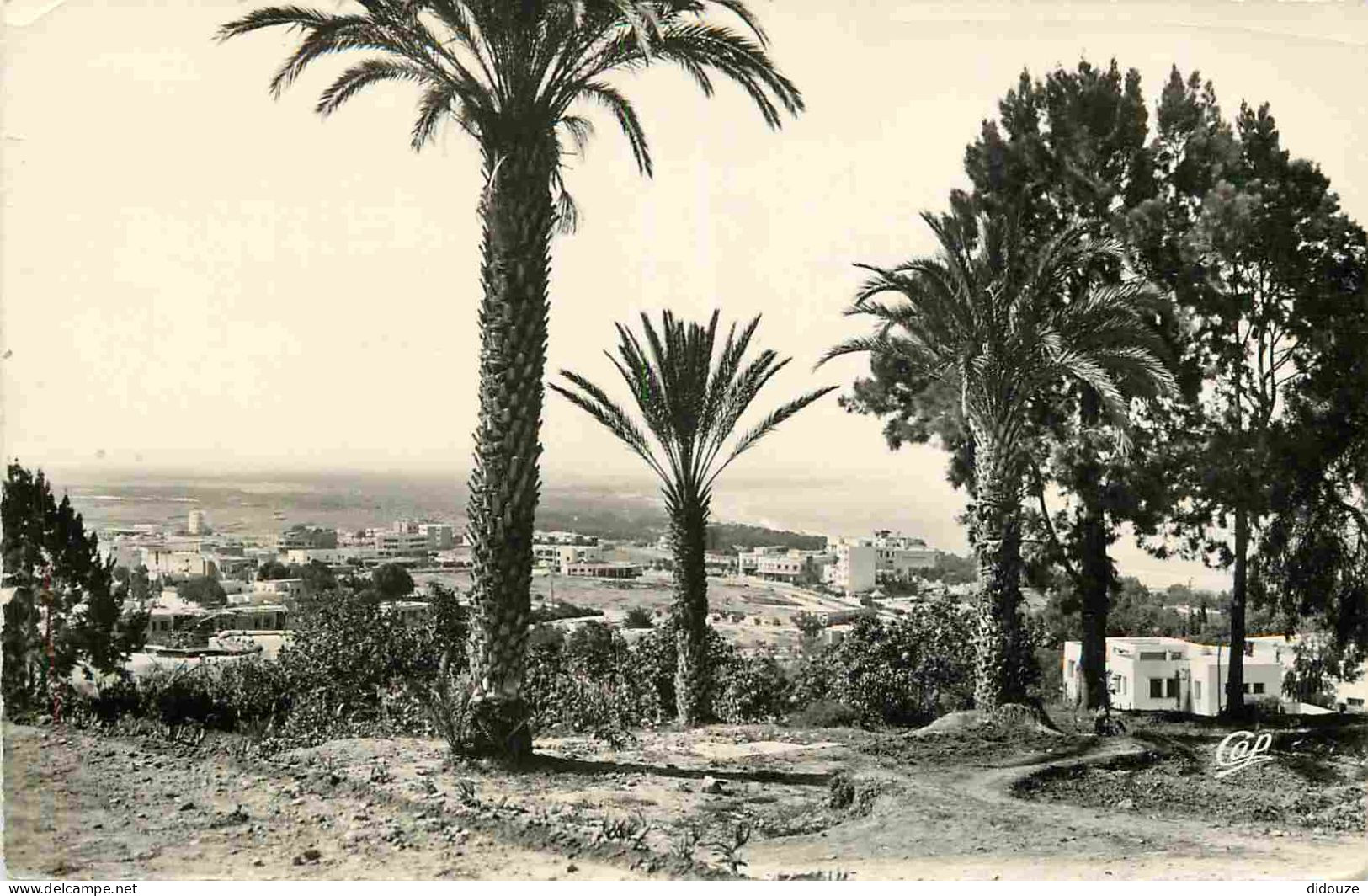 Maroc - Agadir - Vue Générale Sur La Ville - Mention Photographie Véritable - Carte Dentelée - CPSM Format CPA - Voir Sc - Agadir