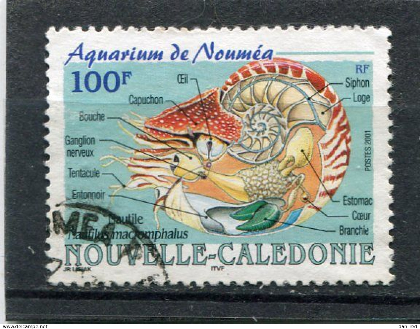 NOUVELLE CALEDONIE N° 841 (Y&T) (Oblitéré) - Oblitérés