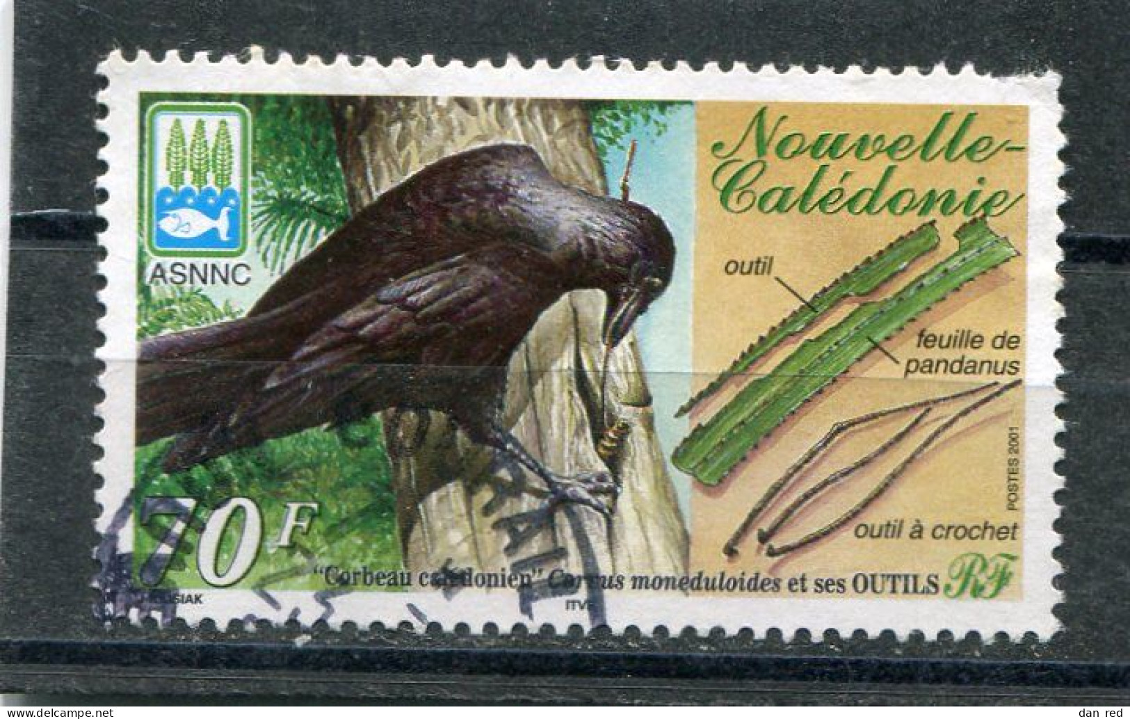 NOUVELLE CALEDONIE N° 843 (Y&T) (Oblitéré) - Oblitérés