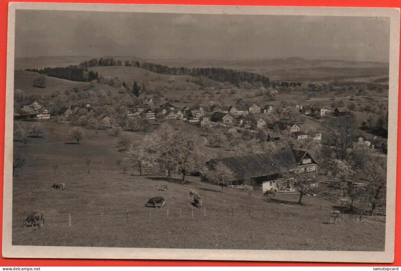 WOLFERTSWIL Bei Degersheim, Bauernhaus, Kühe - Degersheim