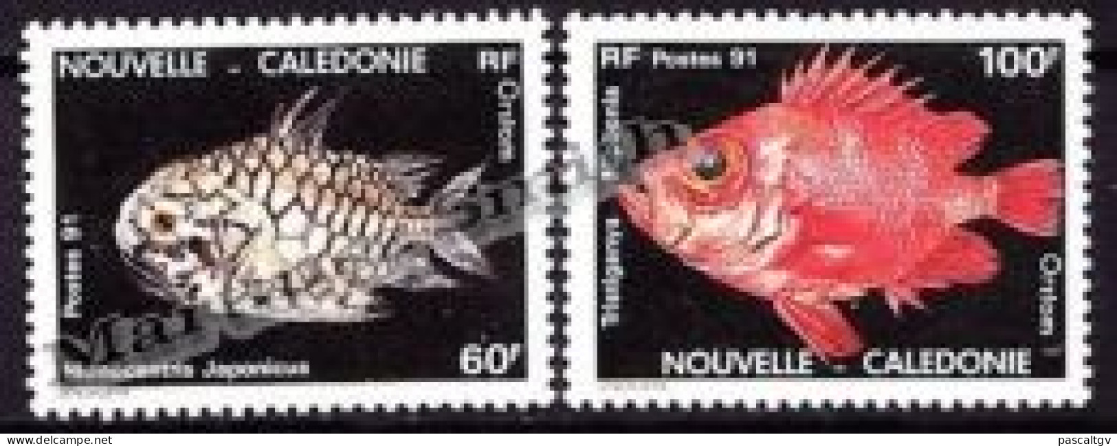 Nouvelle Calédonie - 1991 - Paire N°617/618 ** - Unused Stamps
