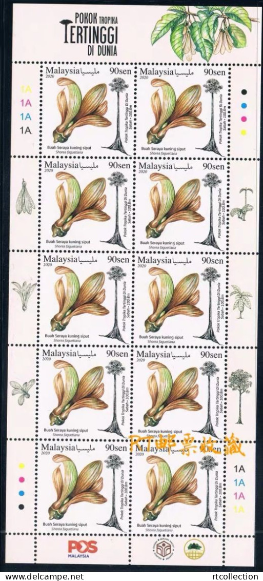 Malaysia 2020 Sheetlet Seed World's Tallest Tree The Yellow Meranti Flora Nature Plants Plant Tree Foreast Stamps MNH - Malaysia (1964-...)