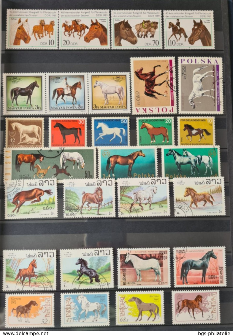 Collection De Timbres Sur Le Thème Des Animaux. - Collections (sans Albums)