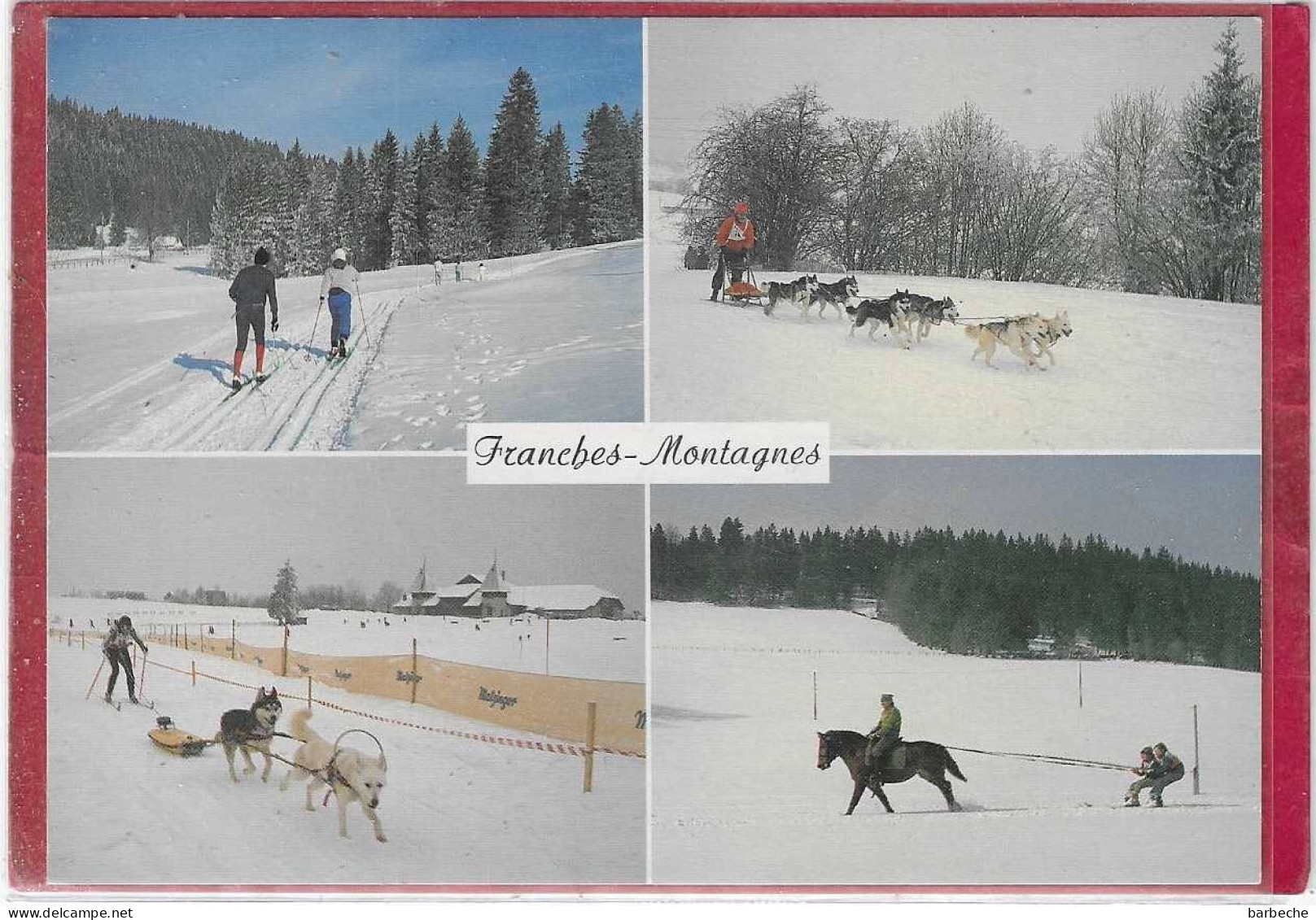 FRANCHES-MONTAGNES ( Hiver ) - Saignelégier