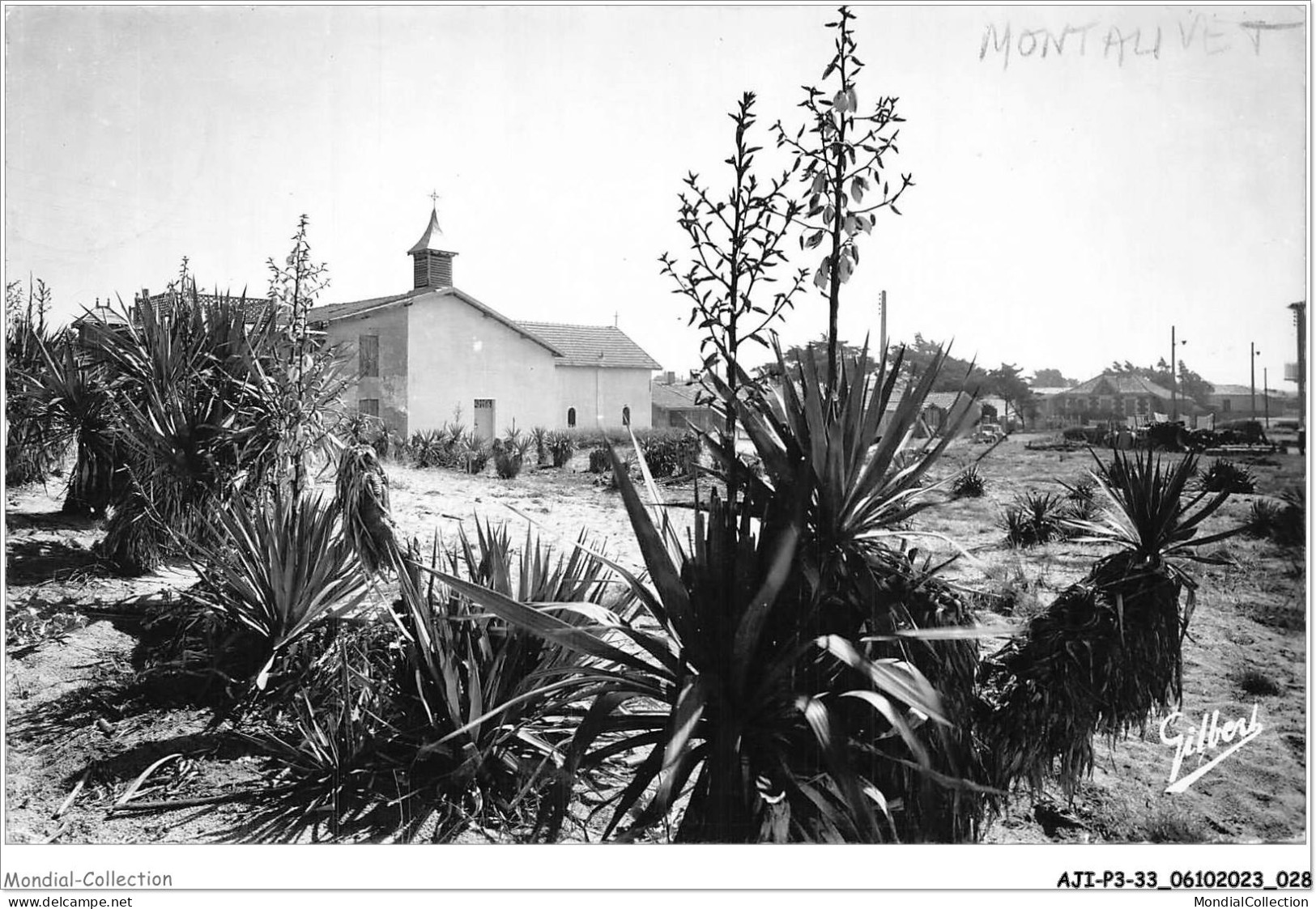 AJIP3-33-0210 - MONTALIVET-les-BAINS - Gironde - La Chapelle - Lesparre Medoc