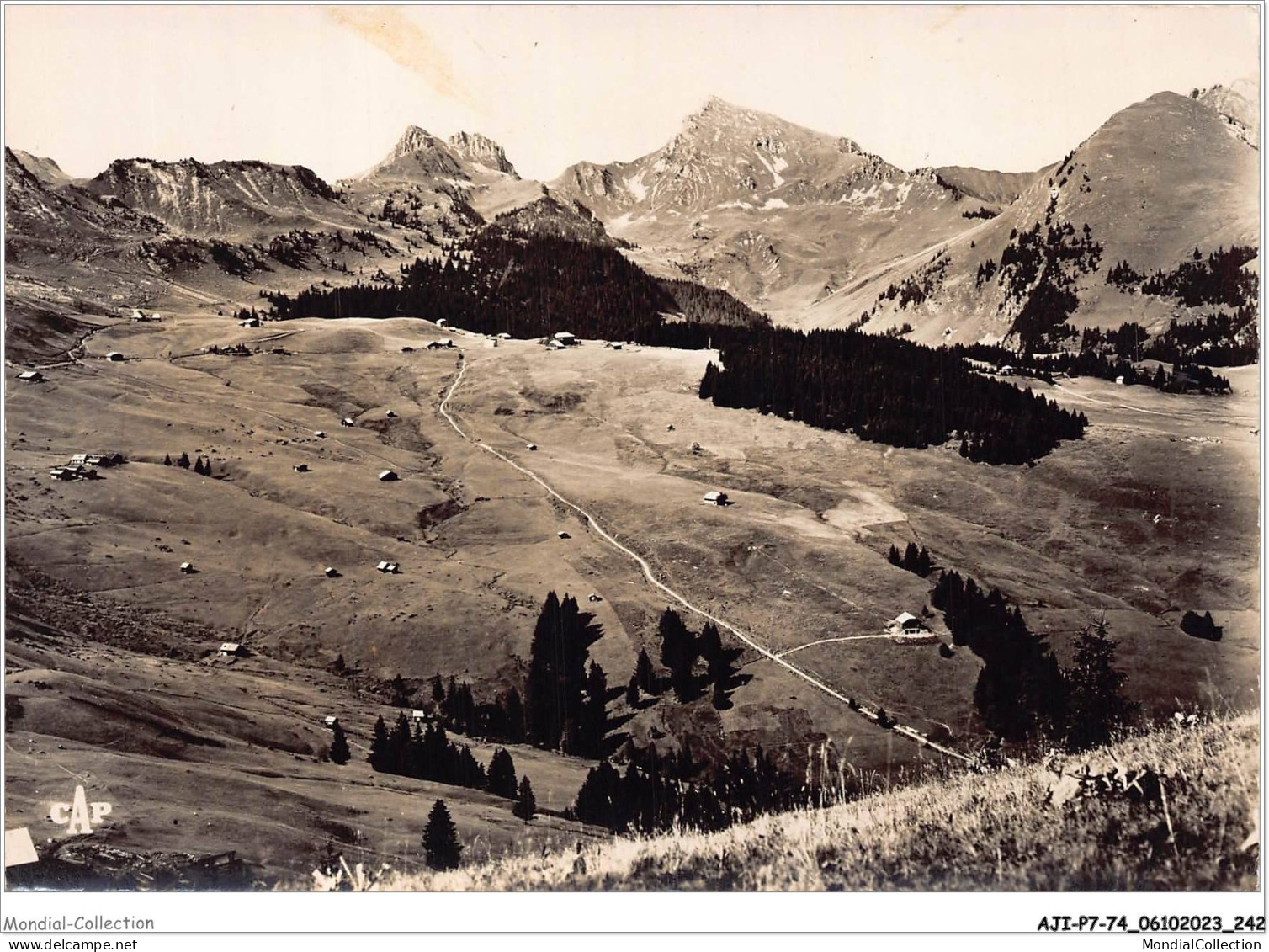 AJIP7-74-0794 - TANINGES - Le Praz De Lys - Vue Générale Et Pointe De Chalune - Taninges