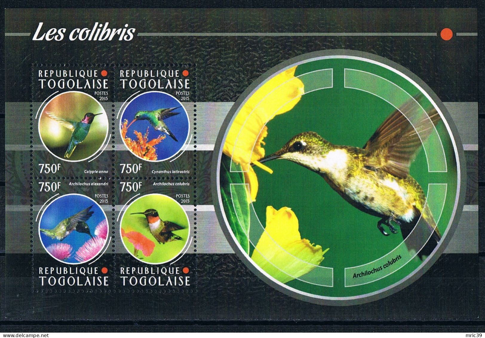 Bloc Sheet Oiseaux Birds Colibris Neuf  MNH ** Togo 2015 - Segler & Kolibris