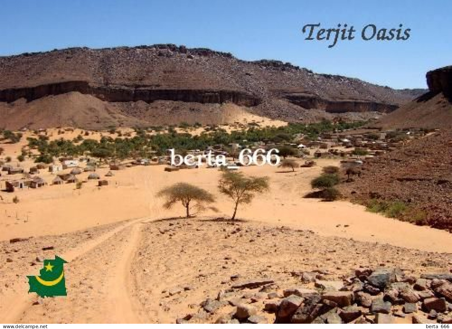 Mauritania Terjit Oasis New Postcard - Mauritanië
