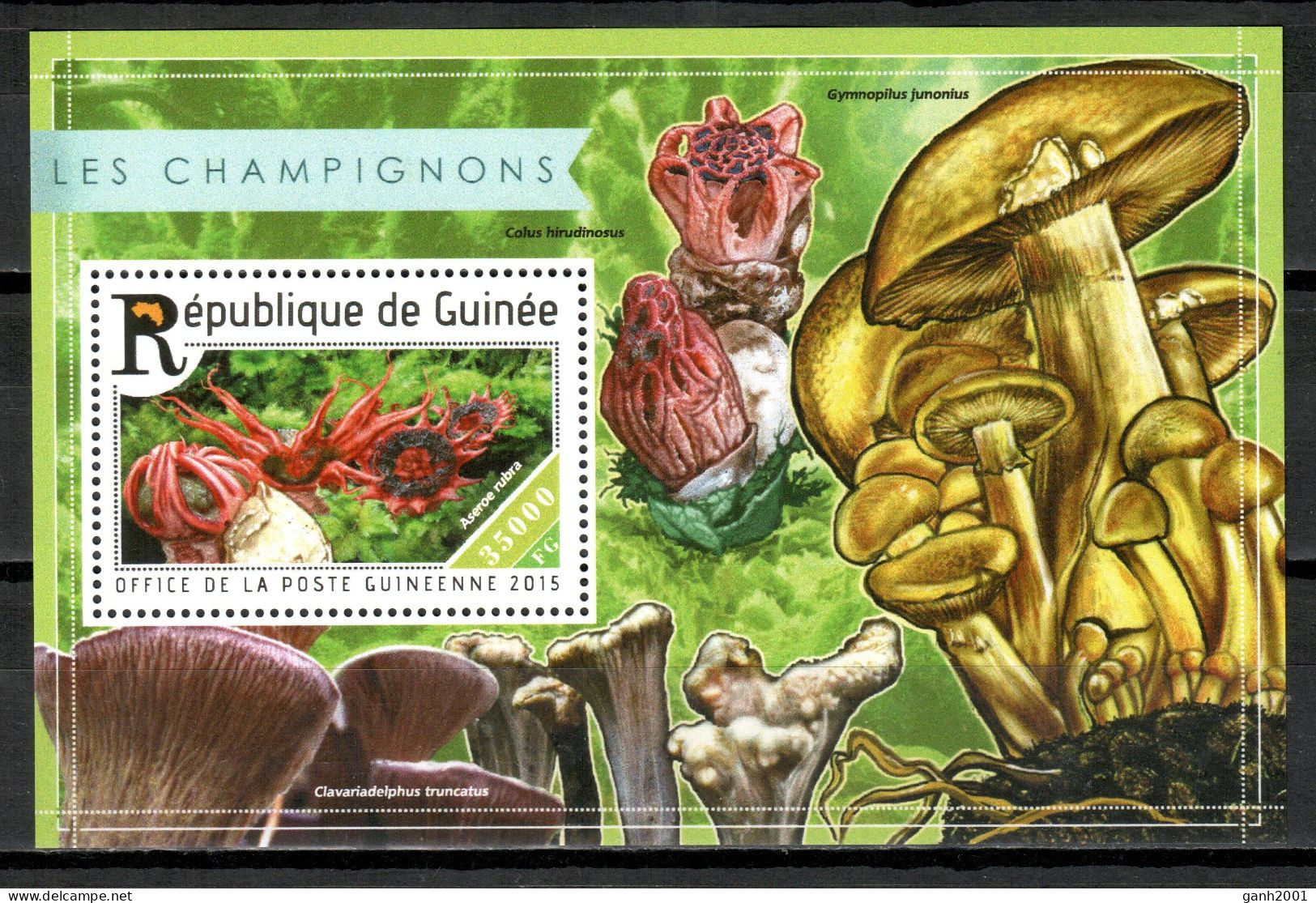 Guinea 2015 / Mushrooms MNH Setas Champignons Pilze / Cu21060 24-5 - Pilze