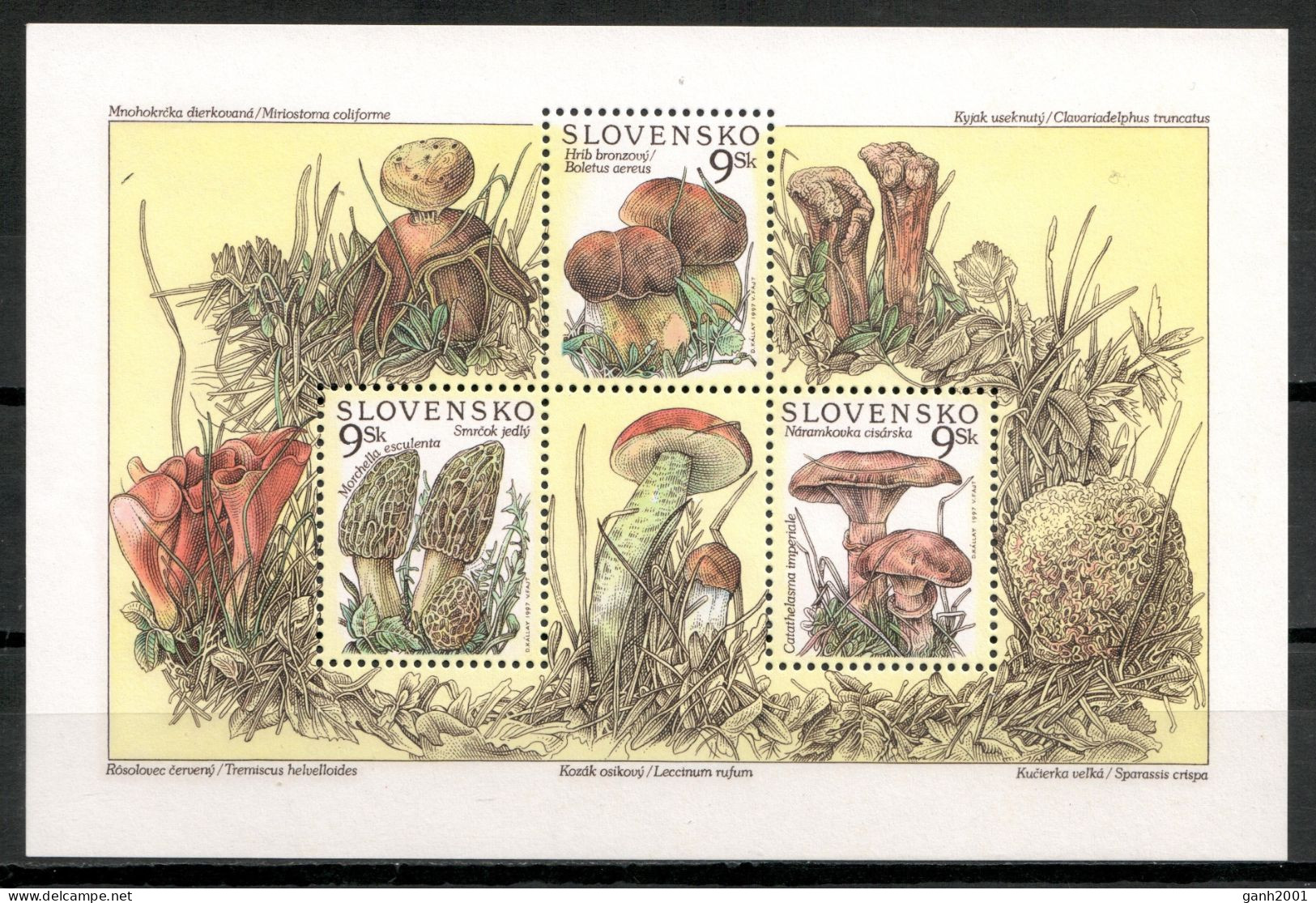 Slovakia 2007 Eslovaquia / Mushrooms MNH Setas Champignons Pilze / Cu20850  36-60 - Paddestoelen