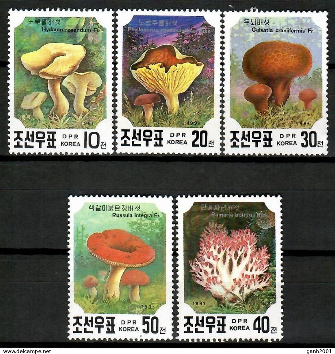 Korea 1991 Corea  / Mushrooms MNH Pilze Setas Champignons / Cu12521  41-26 - Pilze