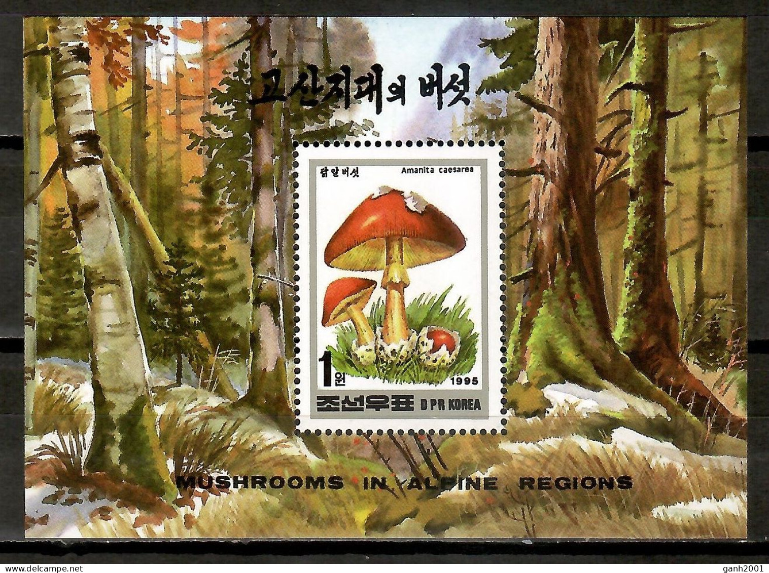 Korea North 1995 Corea / Mushrooms MNH Fungi Champignons Setas Pilze / Cu16814  32-18 - Funghi