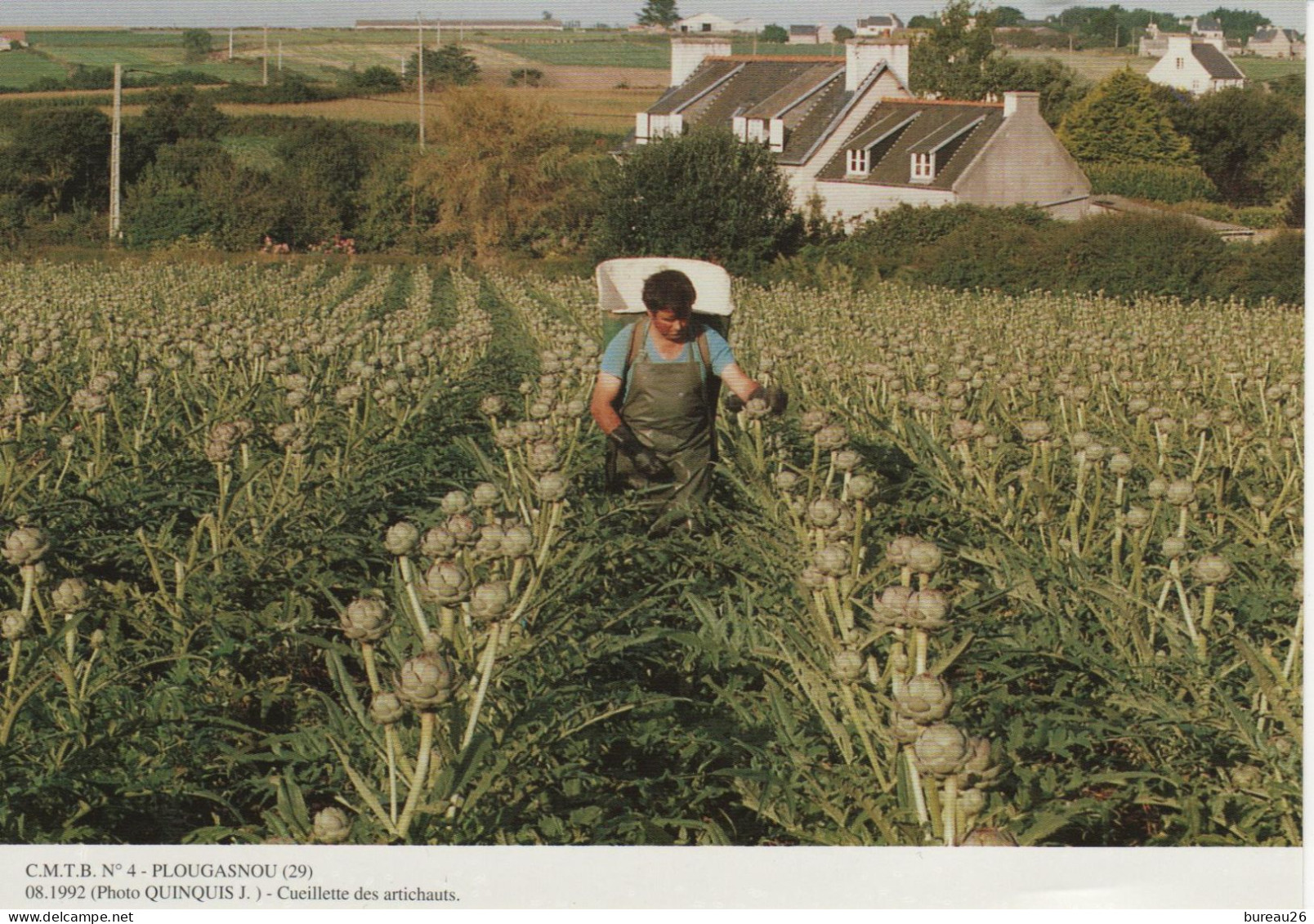 CMTB N° 4 PLOUGASNOU Cueillette Des Artichauts - Plougasnou