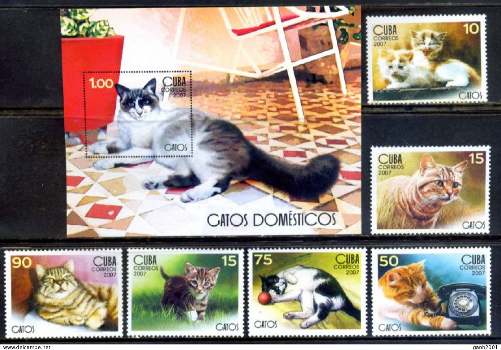 Cuba 2007 / Cats MNH Gatos Katzen Chats / Cu6001 29-21 - Domestic Cats