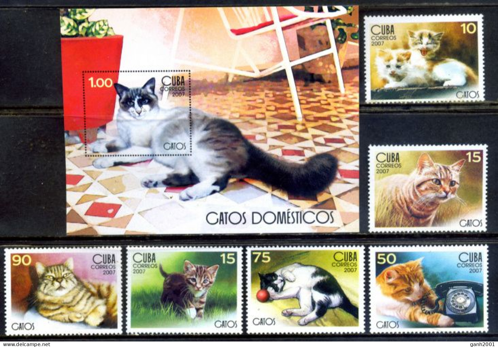 Cuba 2007 / Cats MNH Gatos Katzen Chats / Cu6001 29-21 - Chats Domestiques