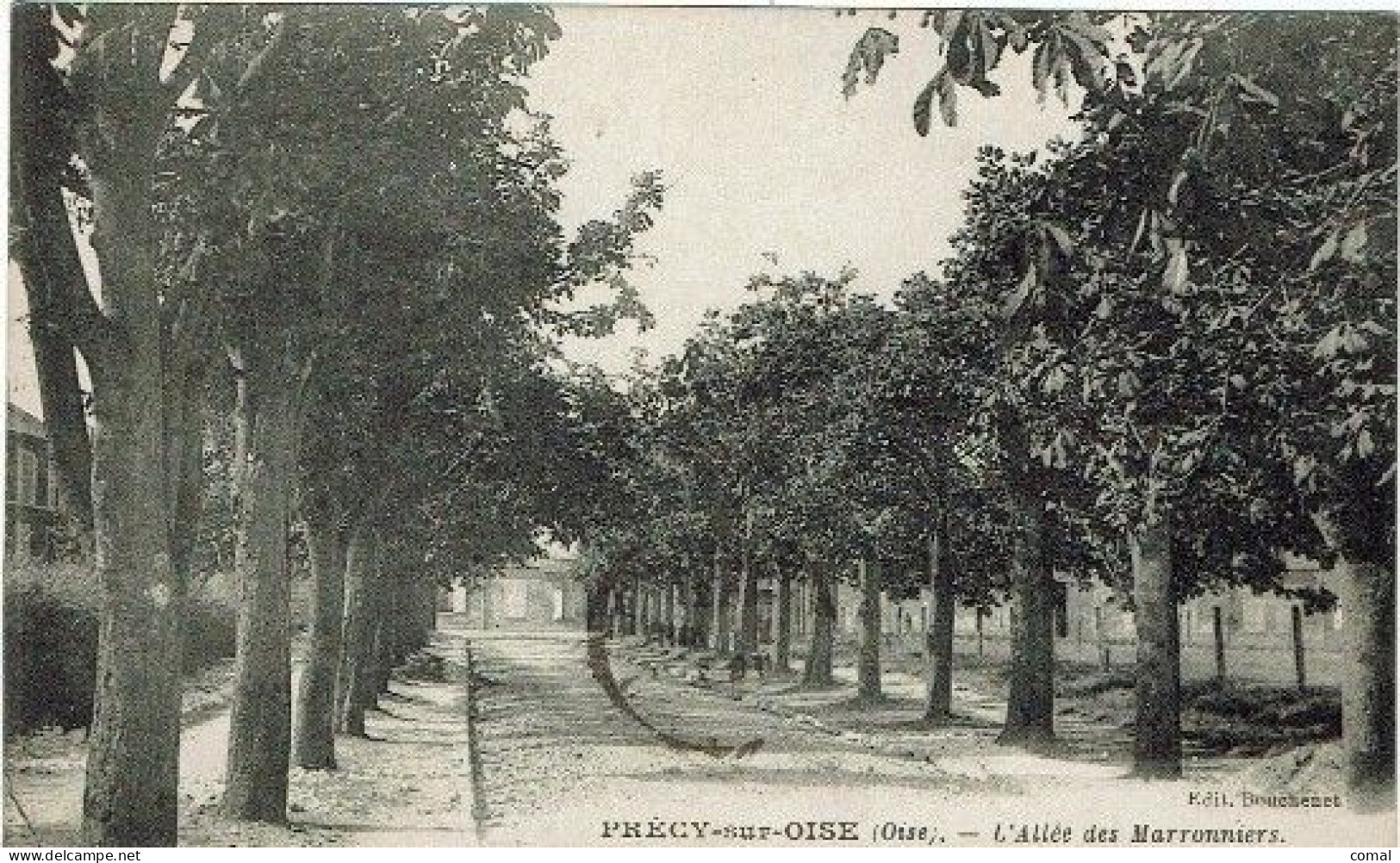 CPA - 60 -  PRECY SUR OISE -  Alléé Des Marronniers - - Précy-sur-Oise