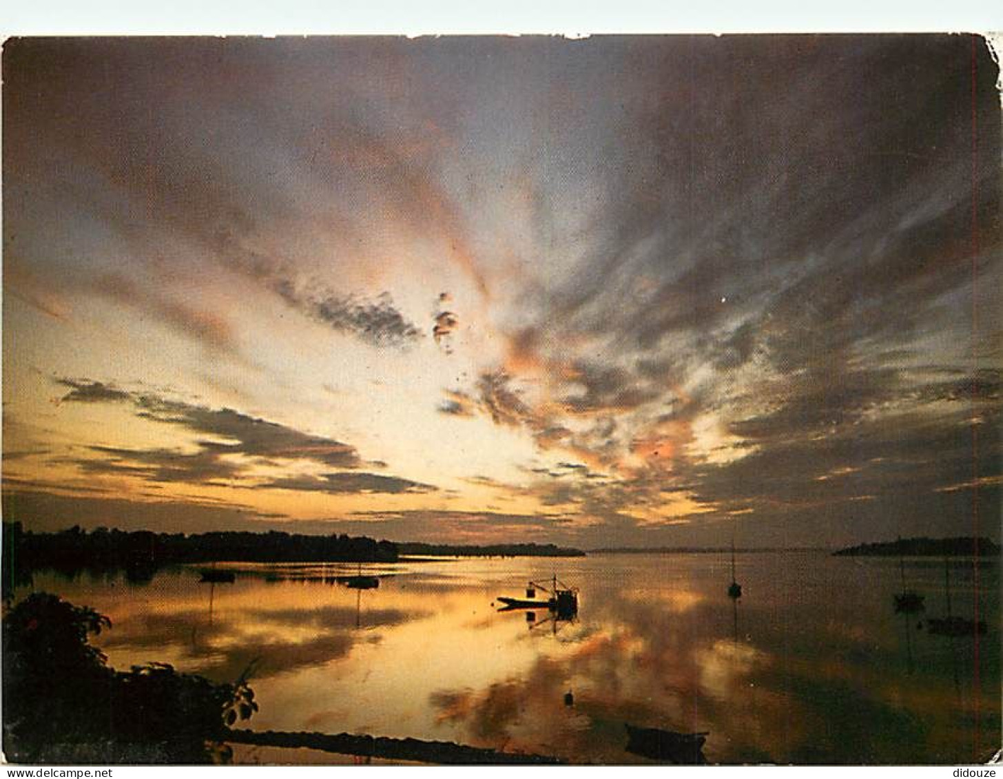 Coucher De Soleil - CPM - Voir Scans Recto-Verso - Contre La Lumière