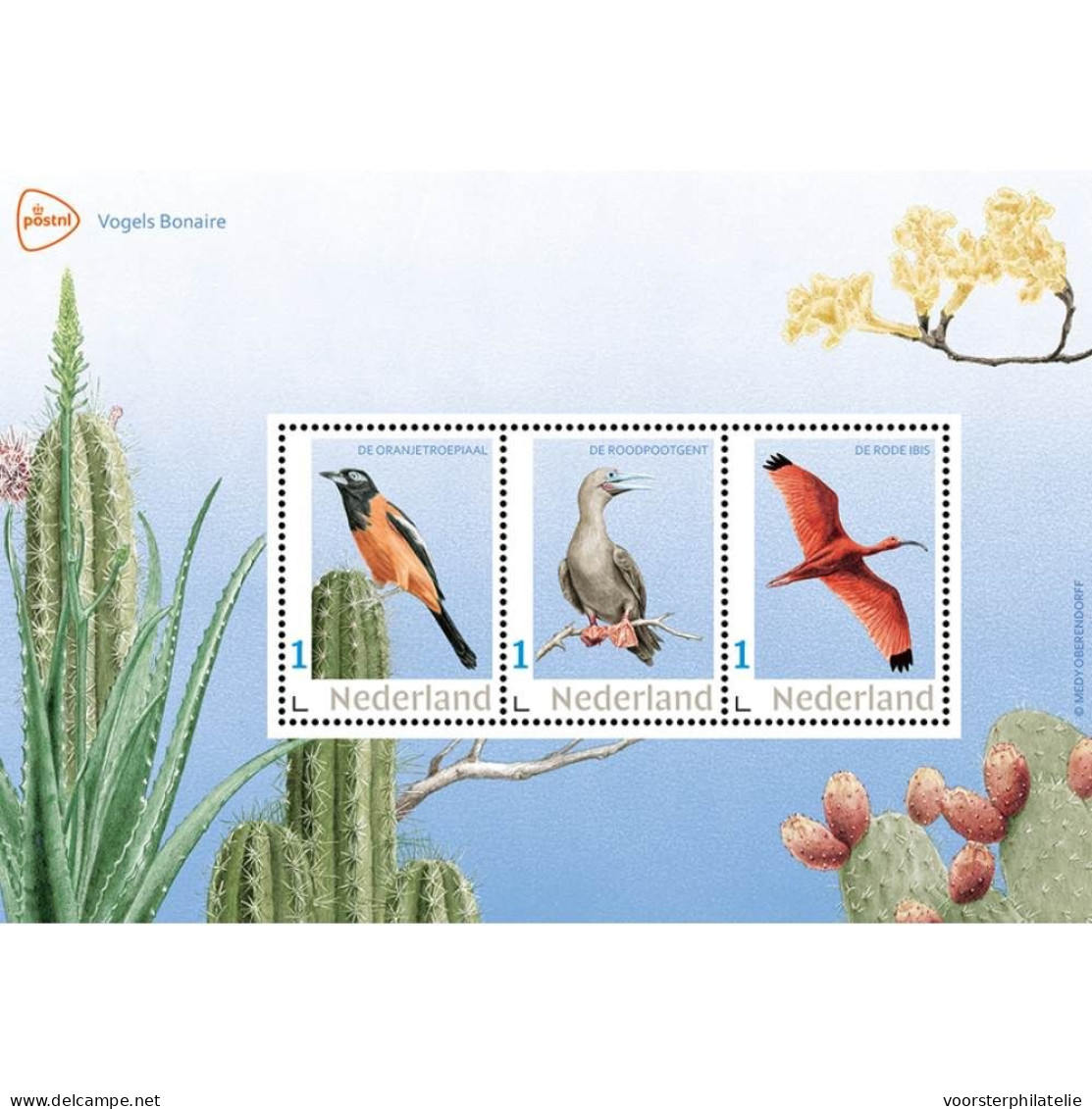 D(B) ++ NETHERLANDS MNH ** 2024 VOGELS BIRDS VÖGEL OISEAUX BONAIRE WITH 3 POSTCARDS - Ongebruikt