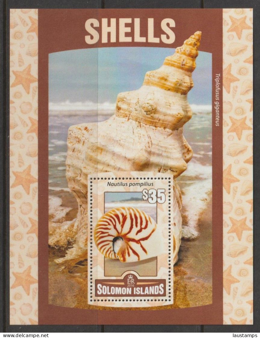 Solomon Islands 2016 Shells S/S MNH - Muscheln