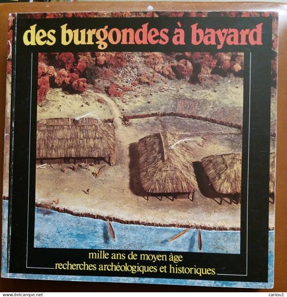 C1  Archeologie DES BURGONDES A BAYARD Mille Ans Moyen Age RHONE ALPES Illustre PORT INCLUS France - Rhône-Alpes