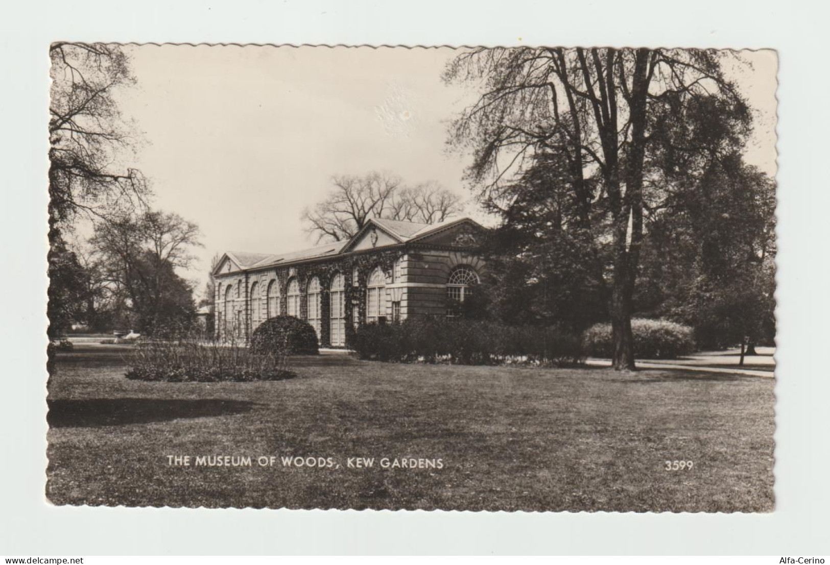 LONDON  SUBURBS:  THE  MUSEUM  OF  WOODS  -  KEW  GARDENS  .  PHOTO  -  TO  ITALY  -  FP - Museen