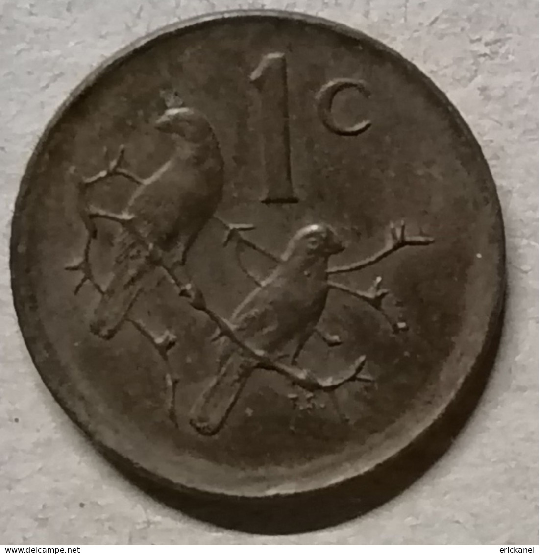 SOUTH AFRICA 1984 1 CENT - Sudáfrica