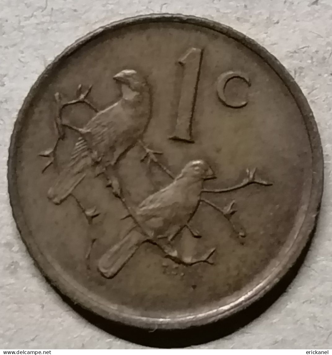 SOUTH AFRICA 1982 1 CENT - Sudáfrica