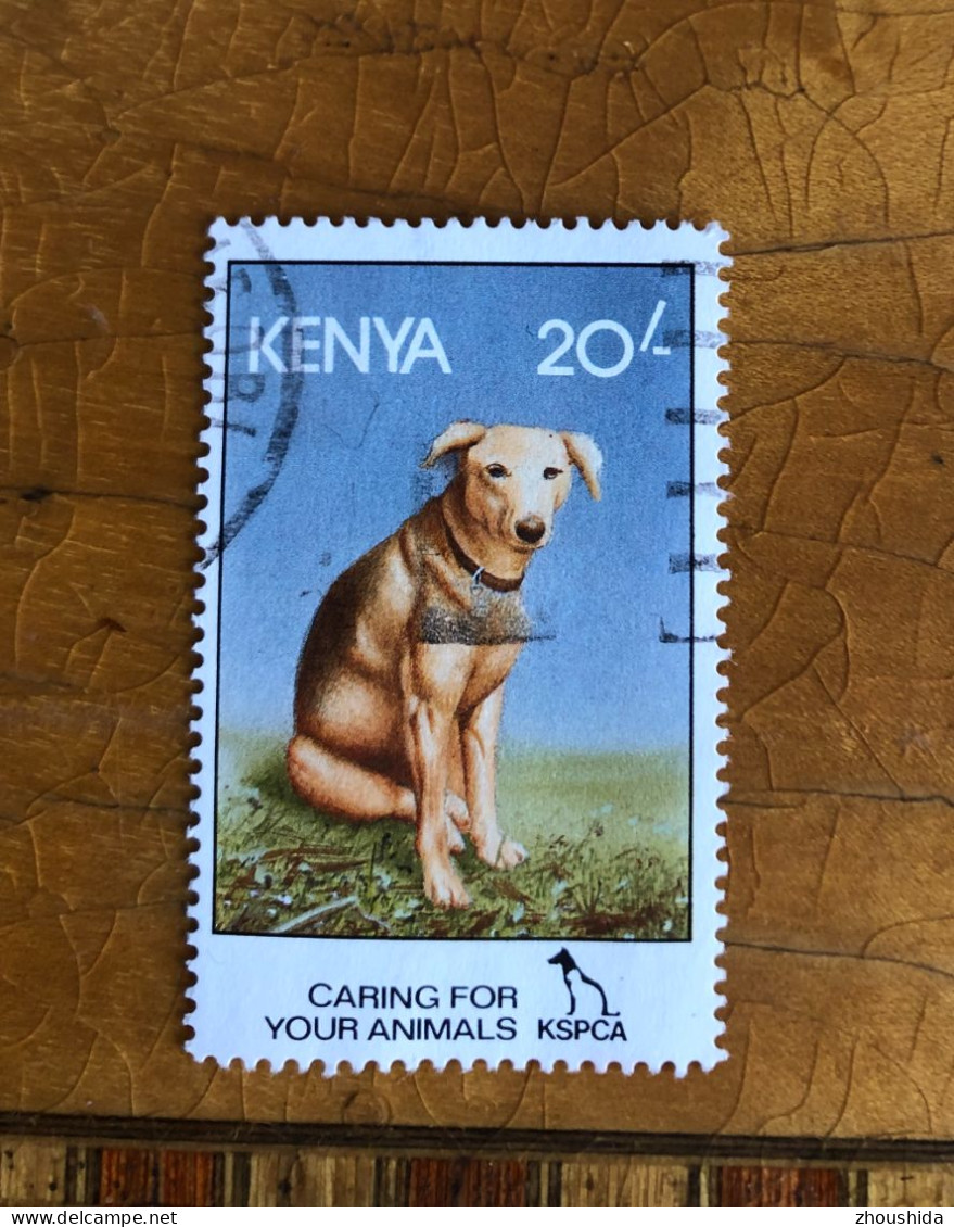 Kenya Dog 20SH Fine Used - Kenia (1963-...)
