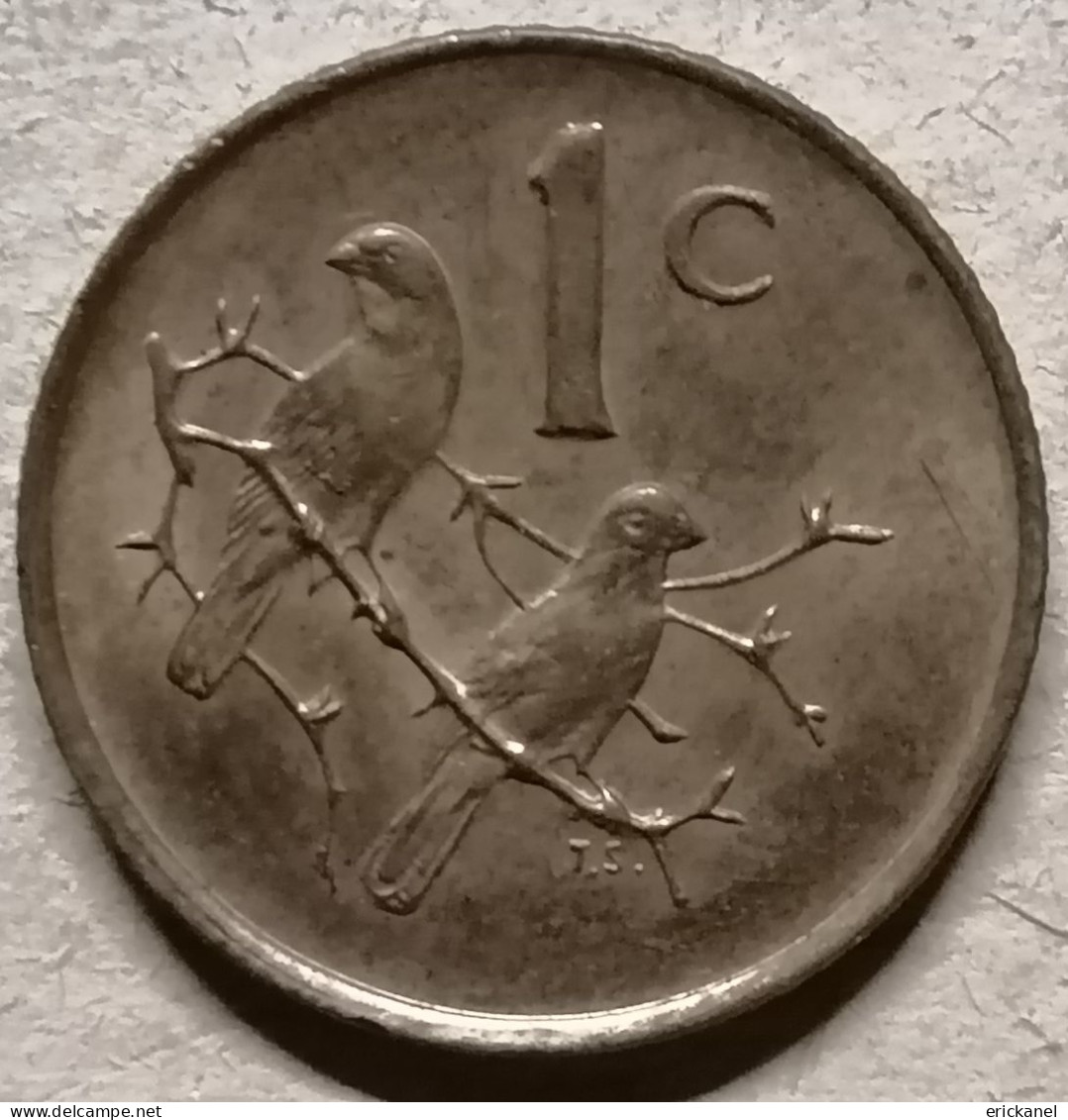 SOUTH AFRICA 1983 1 CENT - Südafrika