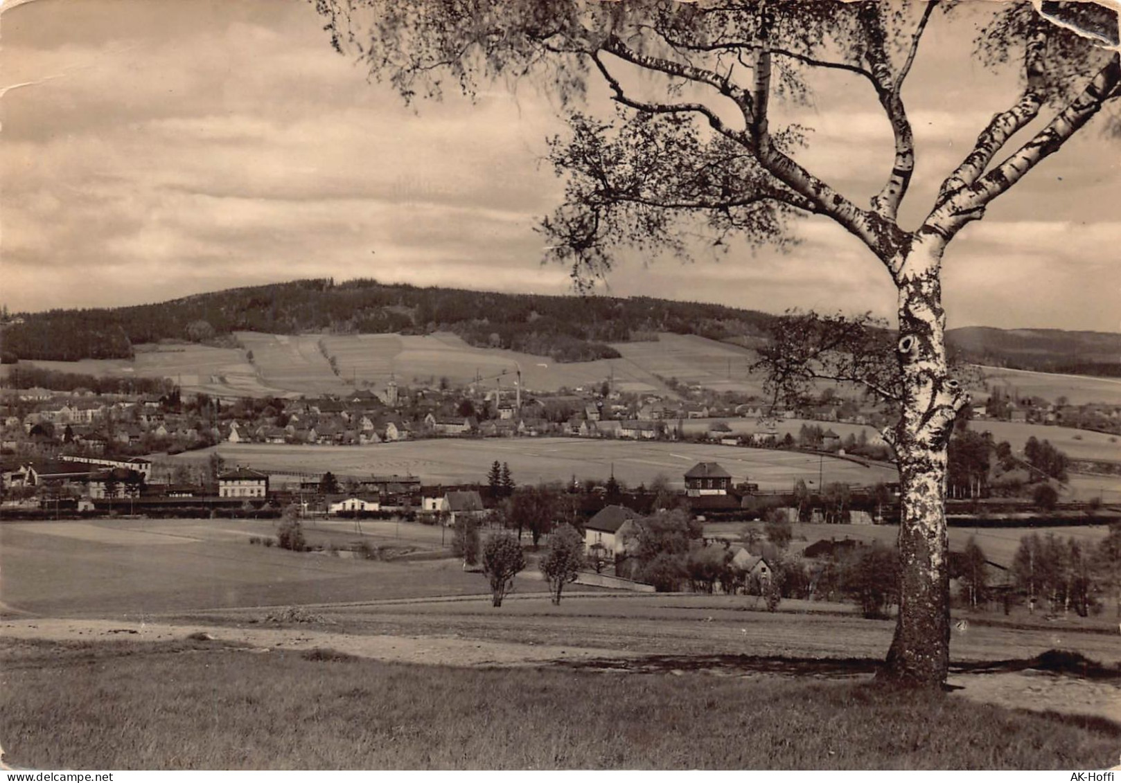 Wilthen In Sachsen - Blick Nach Wilthen O.L. Und Mõndiswalder Berg - Wilthen