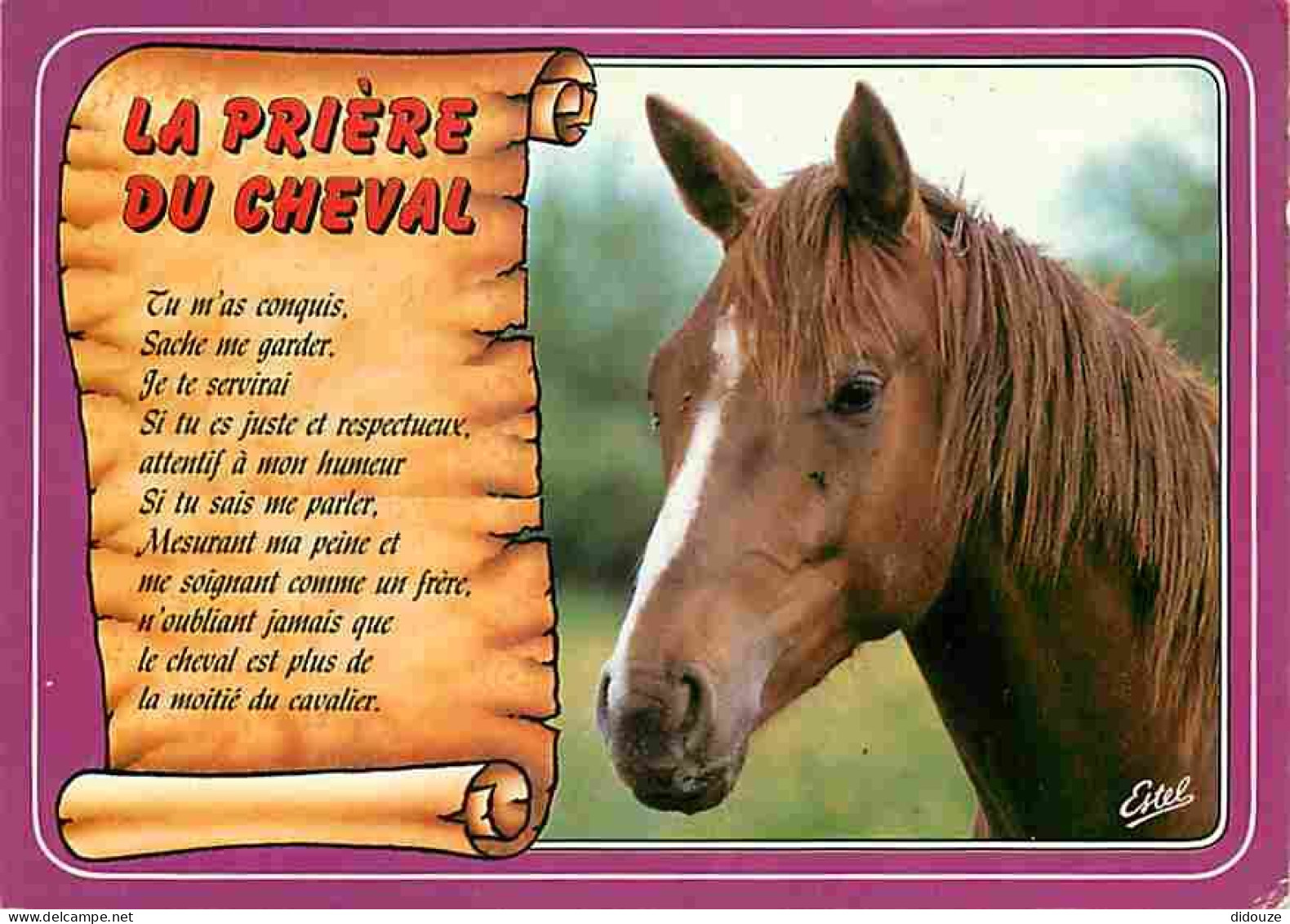 Animaux - Chevaux - La Prière Du Cheval - CPM - Voir Scans Recto-Verso - Pferde