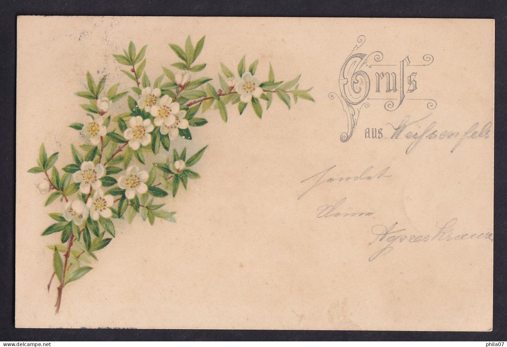 Gruss Aus ... / Year 1899 / Long Line Postcard Circulated, 2 Scans - Saluti Da.../ Gruss Aus...