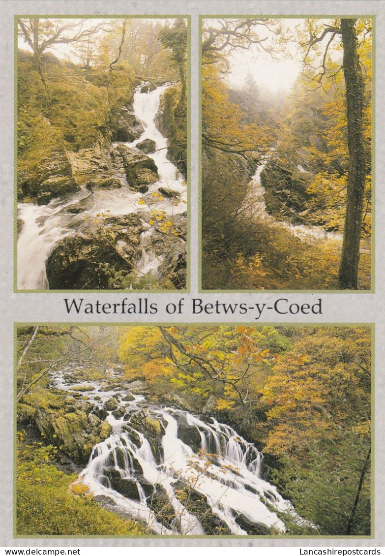 Postcard Waterfalls Of Betws Y Coed North Wales My Ref B26461 - Caernarvonshire