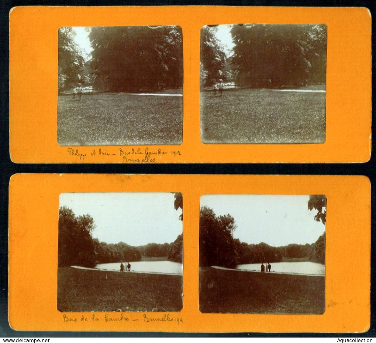 BRUXELLES. Bois De La Cambre. 4 Photographies Stéréo. Collées Sur Carton Fort (recto Verso. 8x17,5cm. - Forêts, Parcs, Jardins