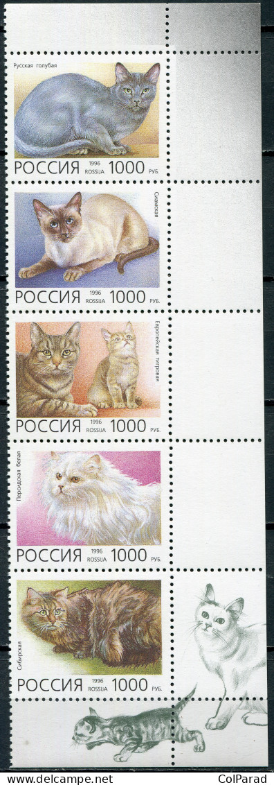 RUSSIA - 1996 - BLOCK OF 5 STAMPS MNH ** - Cat Breeds - Nuovi