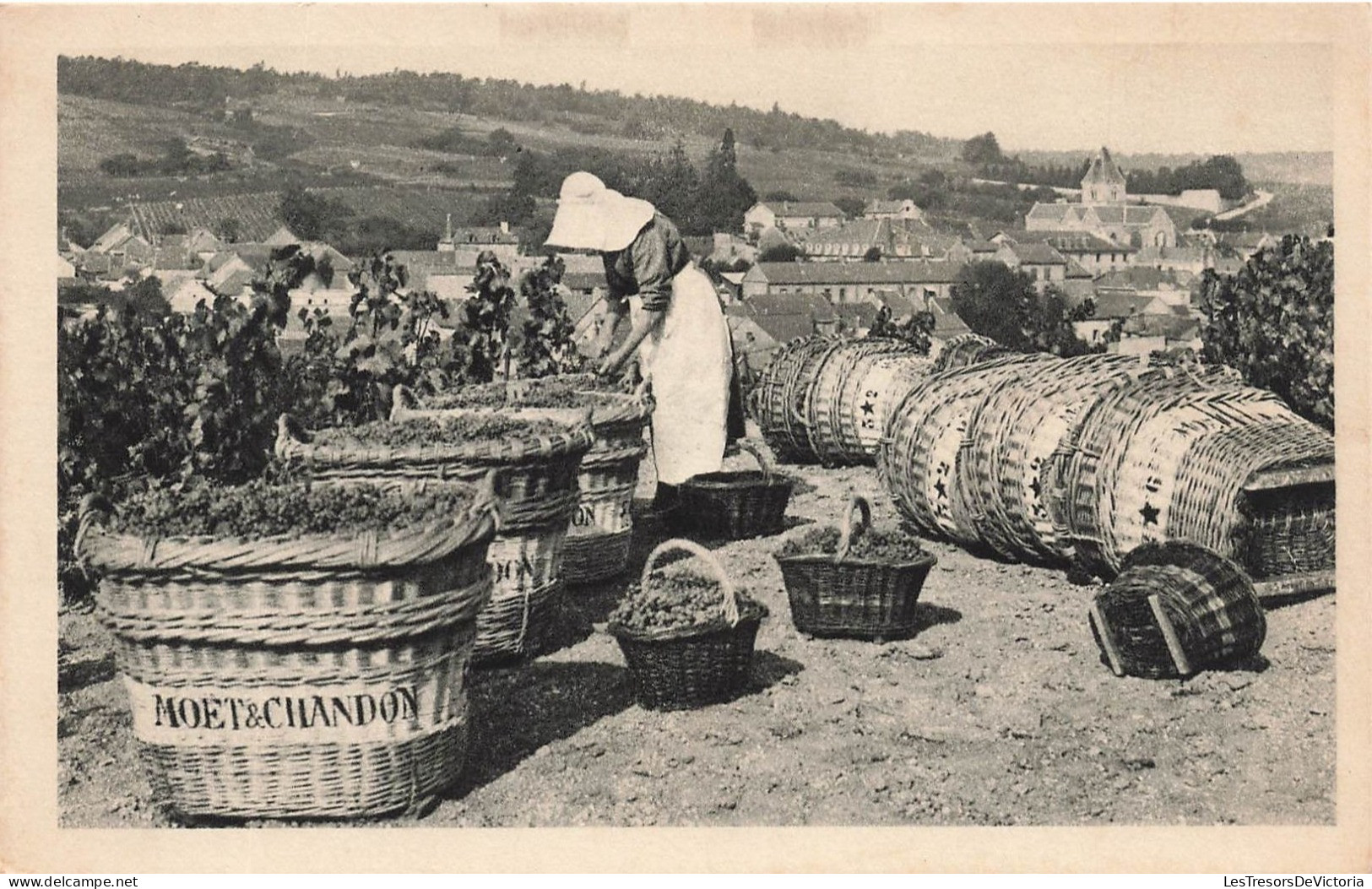 FRANCE - Le Mesnil Sur Oger - Scène De Vendange - Carte Postale Ancienne - Sonstige & Ohne Zuordnung